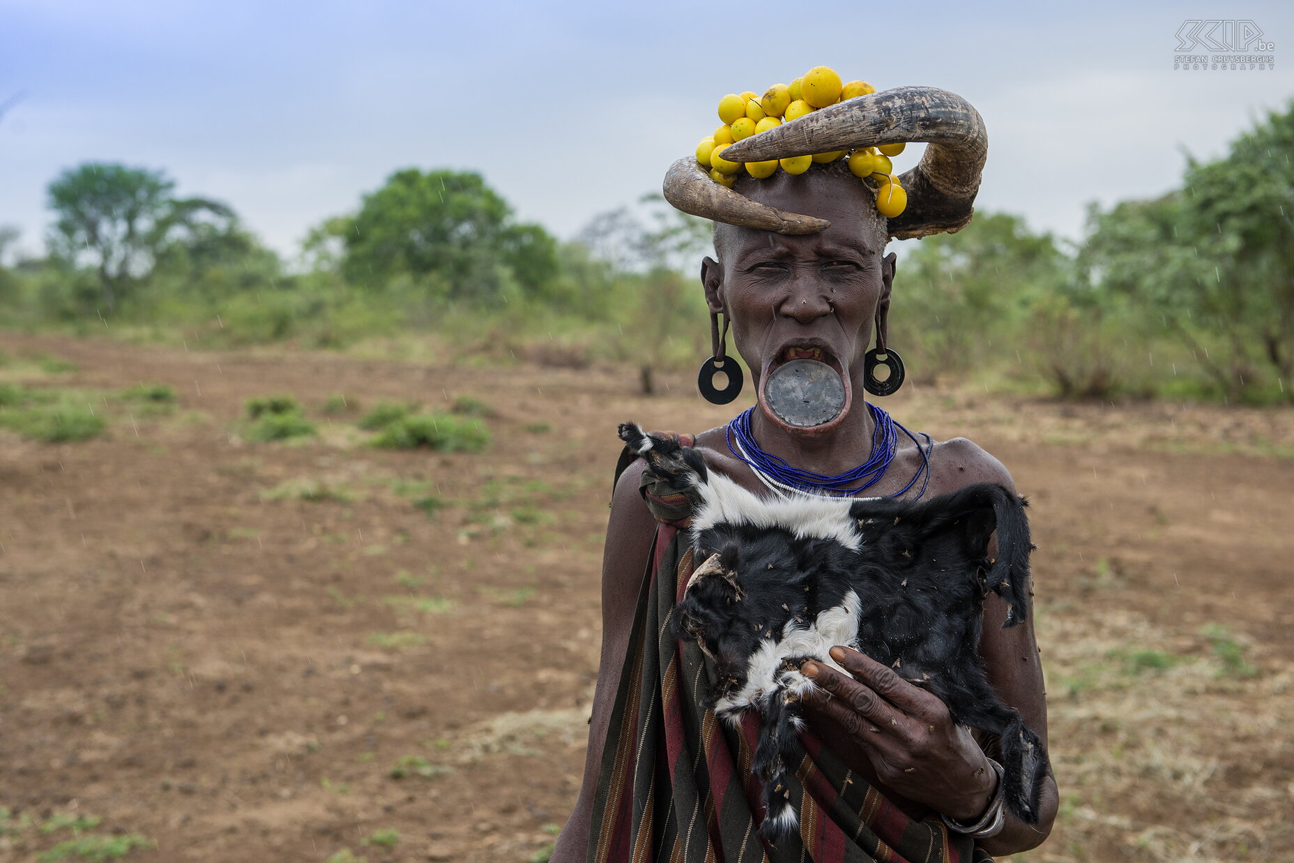 Mago - Older Mursi woman An older Mursi woman with a lip plate and big earrings and a headdress with horns of a cow. Body decoration is so important for this African tribe. Stefan Cruysberghs